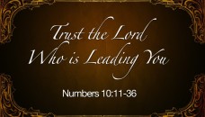 Trust-in-the-Lord-920x525